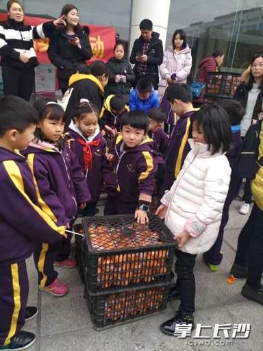 麻园湾小学2(1)学生及家长爱心采购龙山椪柑